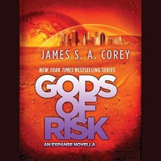 Gods of Risk Audiolibro Por James S. A. Corey arte de portada