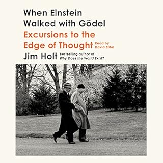 When Einstein Walked with Gödel Audiobook By Jim Holt cover art