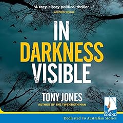 In Darkness Visible cover art