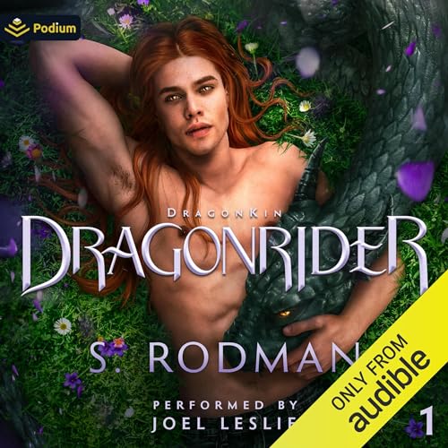 DragonRider Audiobook By S. Rodman cover art