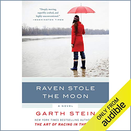 Raven Stole the Moon cover art