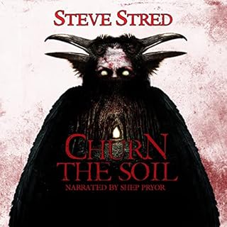 Churn the Soil Audiobook By Steve Stred cover art