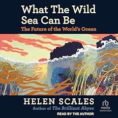 What the Wild Sea Can Be Titelbild