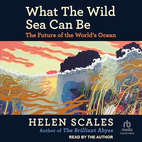 Couverture de What the Wild Sea Can Be