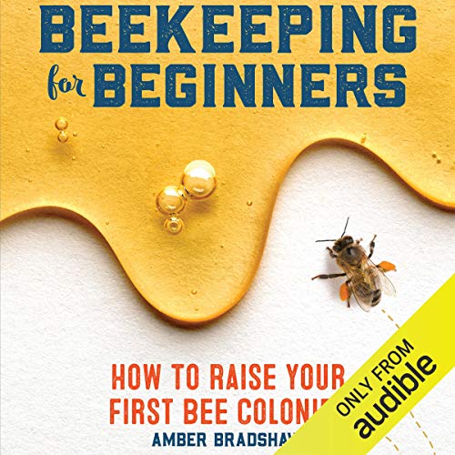 Page de couverture de Beekeeping for Beginners