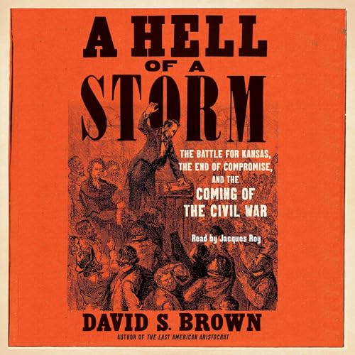 A Hell of a Storm Audiolibro Por David S. Brown arte de portada