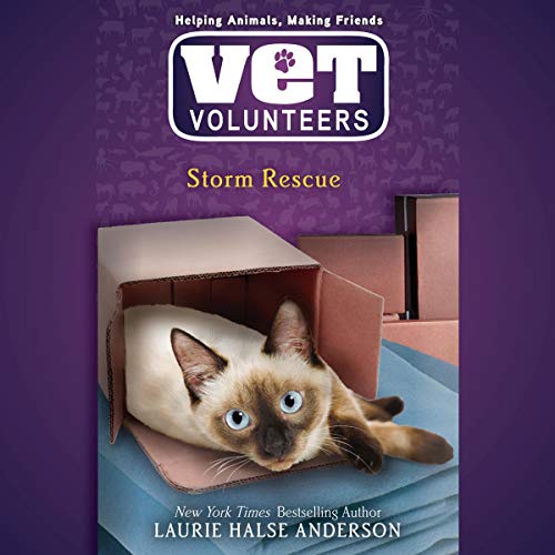 Storm Rescue cover art