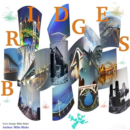 Bridges: Rivers of Traffic cover art