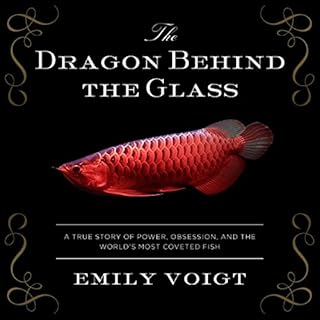 The Dragon Behind the Glass Audiobook By Emily Voigt cover art