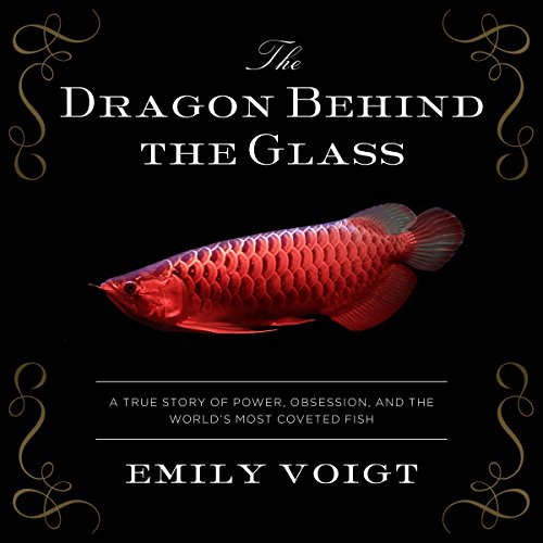 The Dragon Behind the Glass Audiobook By Emily Voigt cover art