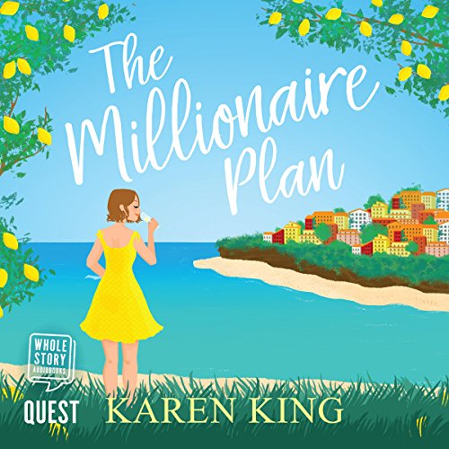 The Millionaire Plan cover art