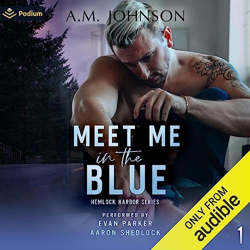 Meet Me in the Blue cover art