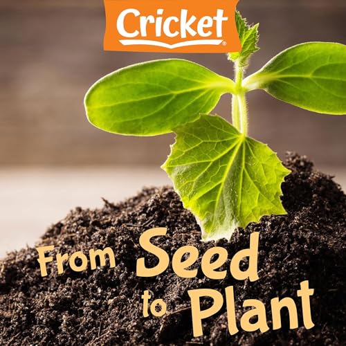 From Seed to Plant Audiobook By Amy Tao cover art