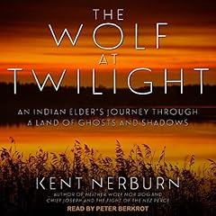 The Wolf at Twilight cover art