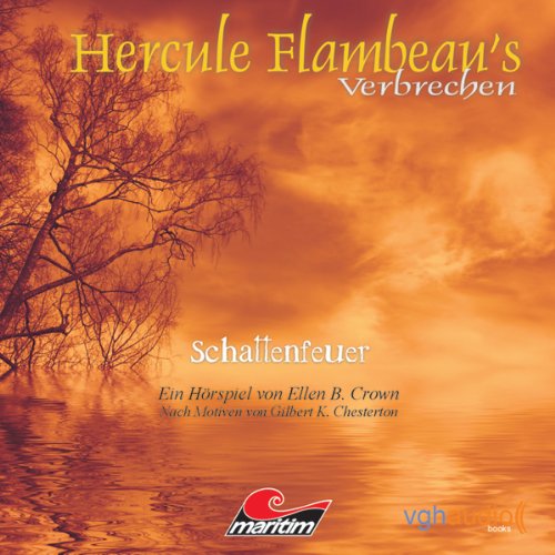 Schattenfeuer cover art