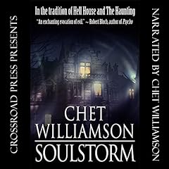 Soulstorm cover art