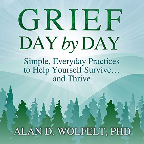 Grief Day by Day Audiolibro Por Alan D. Wolfelt PhD arte de portada