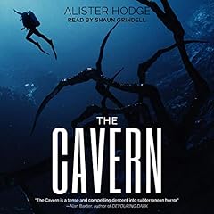 The Cavern Audiobook By Alister Hodge cover art