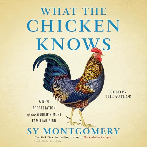 What the Chicken Knows Audiolibro Por Sy Montgomery arte de portada