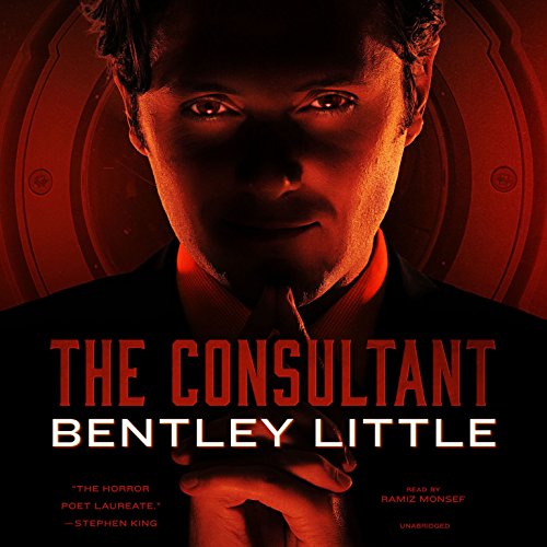 The Consultant cover art