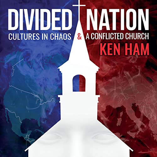 Page de couverture de Divided Nation