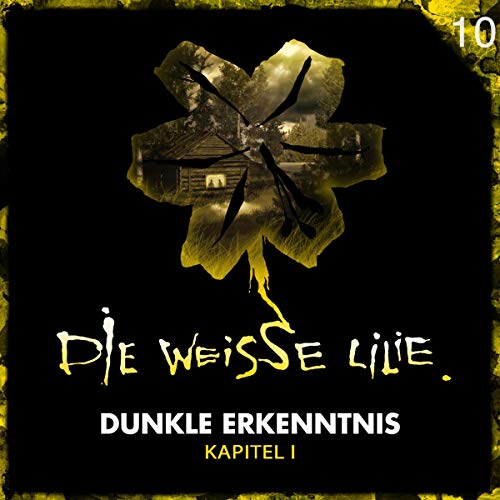 Dunkle Erkenntnis, Teil 1 cover art