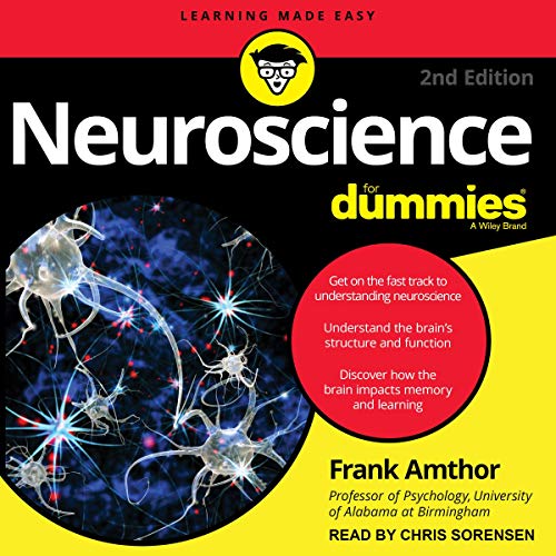 Neuroscience for Dummies, 2nd Edition Audiobook By Frank Amthor cover art