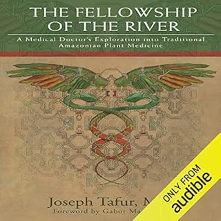 The Fellowship of the River Audiolibro Por Joseph Tafur MD arte de portada