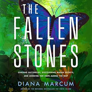 The Fallen Stones Audiobook By Diana Marcum cover art