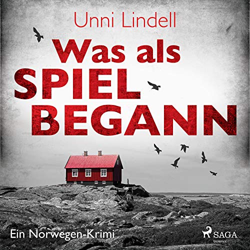 Was als Spiel begann. Ein Norwegen-Krimi cover art