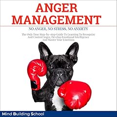 Anger Management: No Anger, No Stress, No Anxiety cover art