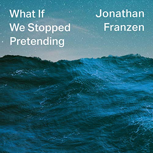 What If We Stopped Pretending? Titelbild