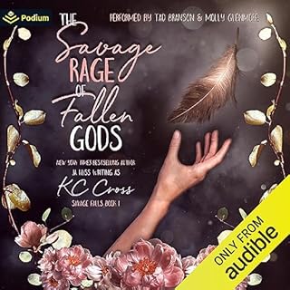 Savage Rage of Fallen Gods Audiolibro Por JA Huss arte de portada