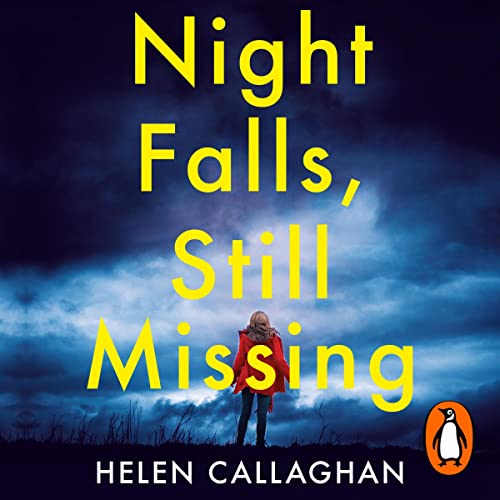 Night Falls, Still Missing cover art