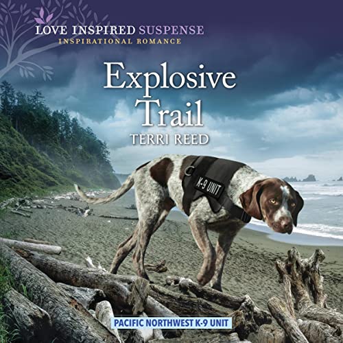 Explosive Trail cover art