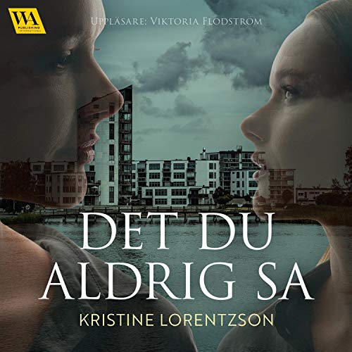 Det du aldrig sa cover art