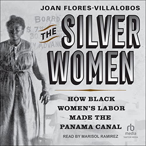 The Silver Women Audiobook By Joan Flores-Villalobos cover art