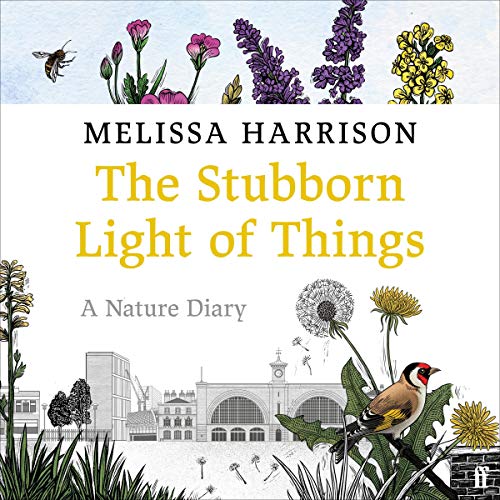 The Stubborn Light of Things cover art