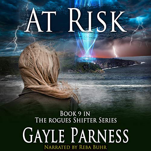 At Risk Audiolibro Por Gayle Parness arte de portada