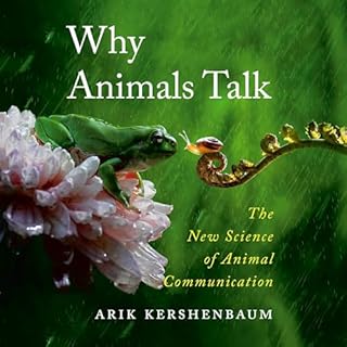 Why Animals Talk Audiolibro Por Arik Kershenbaum arte de portada