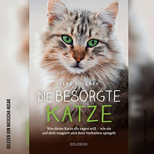 Die besorgte Katze Titelbild