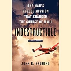 Indestructible cover art