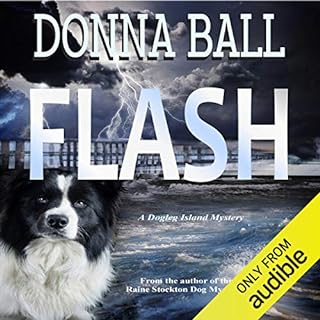 Flash Audiobook By Donna Ball cover art