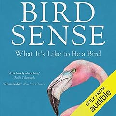 Bird Sense cover art