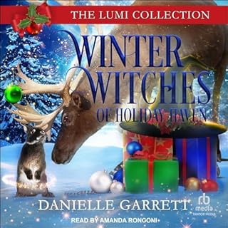 Winter Witches of Holiday Haven Audiolibro Por Danielle Garrett arte de portada