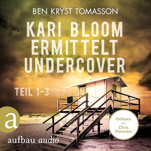 Kari Blom ermittelt undercover - Teil 1-3 Titelbild