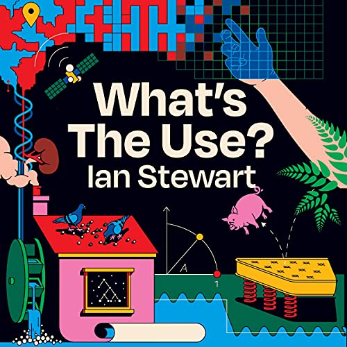 What's the Use? Audiobook By Ian Stewart cover art