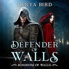 Defender of Walls cover art