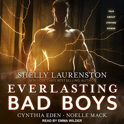 Page de couverture de Everlasting Bad Boys