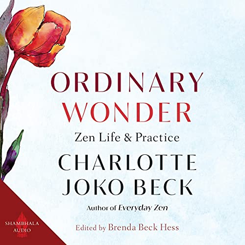 Ordinary Wonder cover art